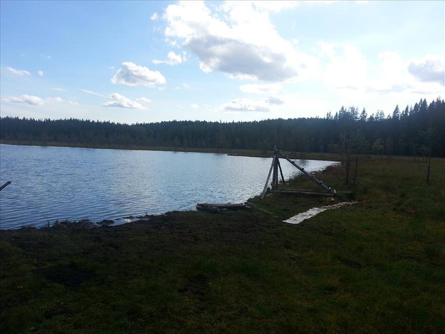 Погода светлое озеро. Озеро светлое Свердловская область. Алеховщина озеро светлое. Алеховщина озеро белое. Озеро светлое Черемухово.